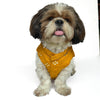 Mustard Mirror Work Festive Shirt | For Dogs | Pawgy Pets