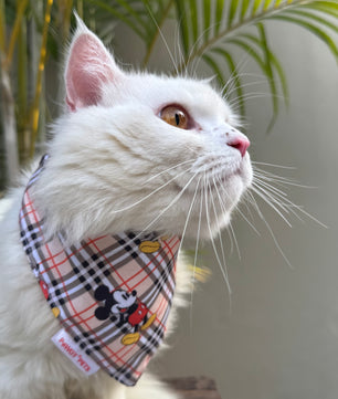 Pawgy Pets Casual Bandana: Mickey Check Beige for Cats and Dogs
