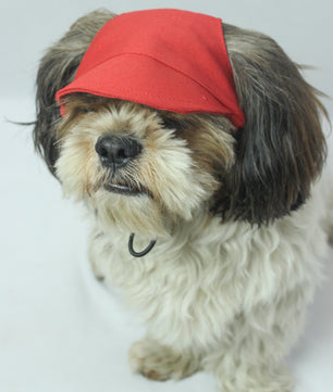 Pawgy Pets Dog Cap: Red for Dog & Cats