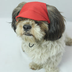 Pawgy Pets Dog Cap: Red for Dog & Cats