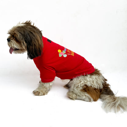 Pawgy Pets T-shirt Special Birthday Edition Red for Dogs & Cats