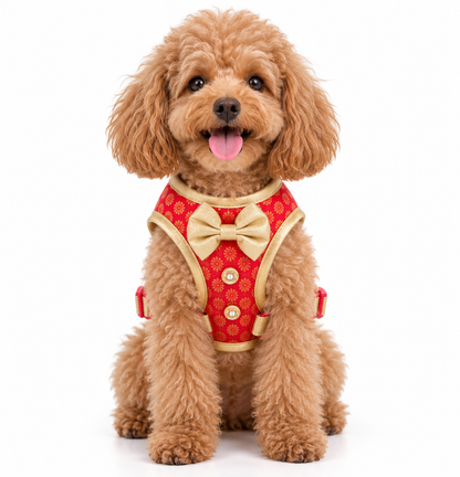 Pawgy Pets Celebration Harness & Leash for Dogs - Red and Gold