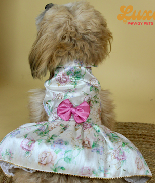 Luxe by Pawgy Pets Floral Dress White