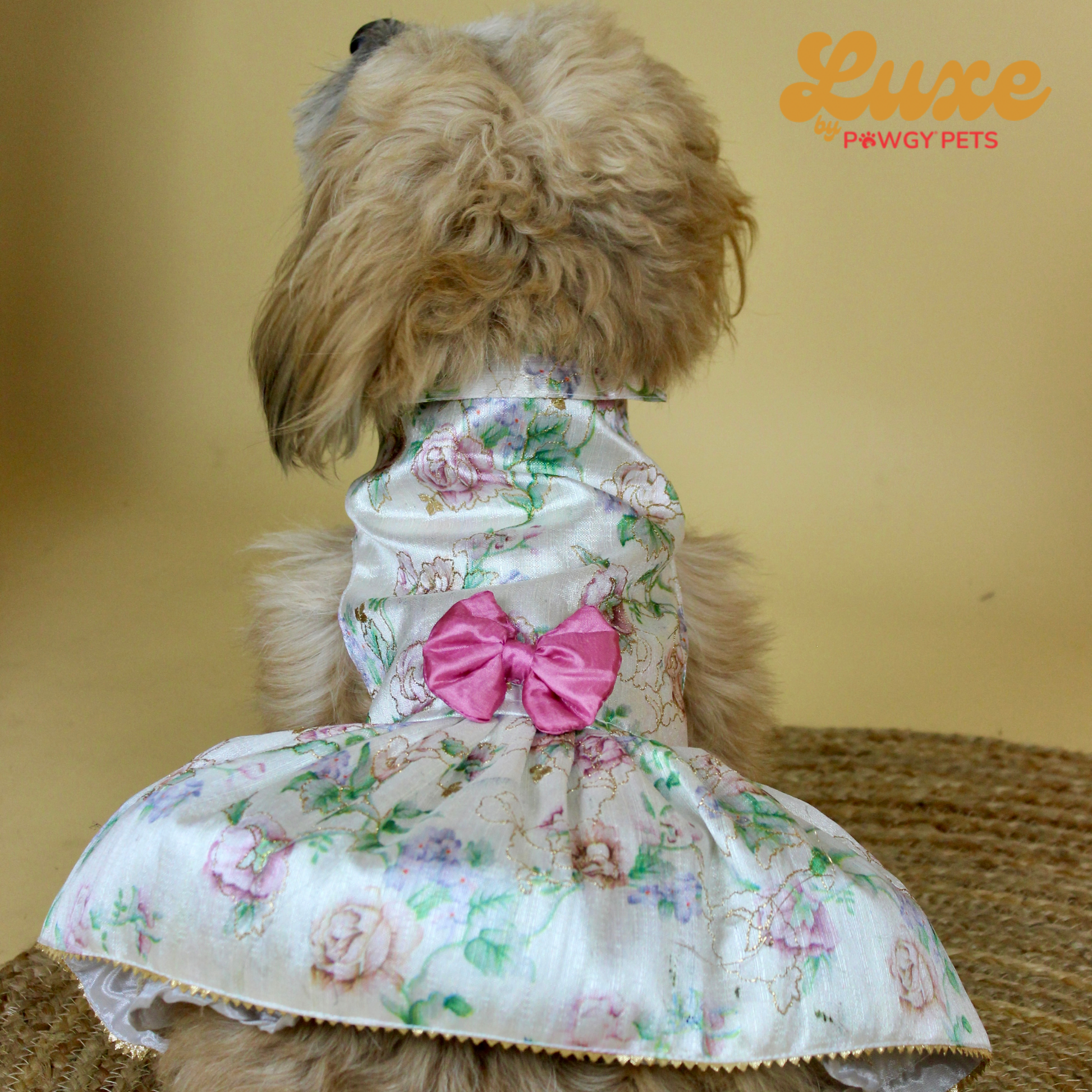 Luxe by Pawgy Pets Floral Dress White