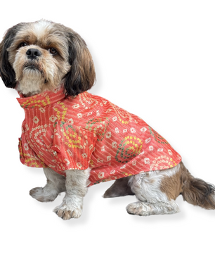 Pawgy Pets Silk Kurta: Peach for Dogs