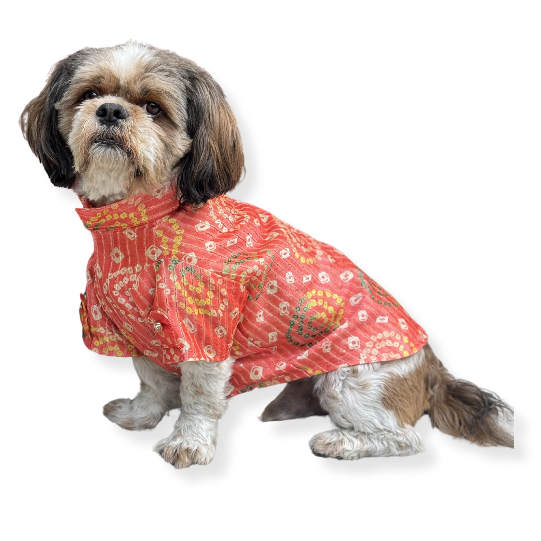 Pawgy Pets Silk Kurta: Peach for Dogs