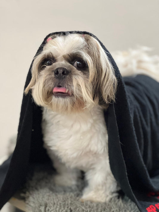 Pet Towel: Black