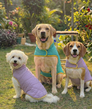 Pawgy Pets Reversible Puffer Jacket Lavender & Turquoise