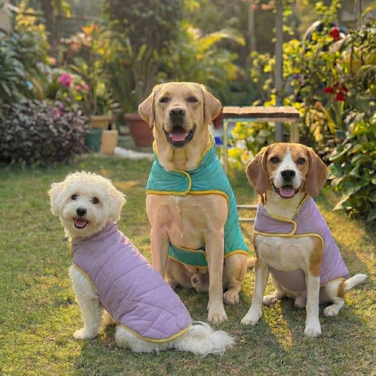 Pawgy Pets Reversible Puffer Jacket Lavender & Turquoise