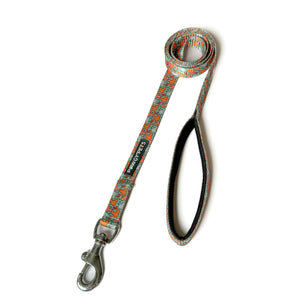 Pawgy Pets Premium Leash: Mickey Pastel Green for Dogs and Cats