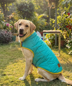 Pawgy Pets Reversible Puffer Jacket Lavender & Turquoise