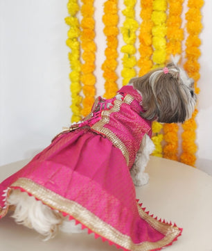 Pawgy Pets Pink Brocade Lehenga for Dogs & Cats