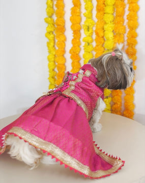 Pawgy Pets Pink Brocade Lehenga for Dogs & Cats