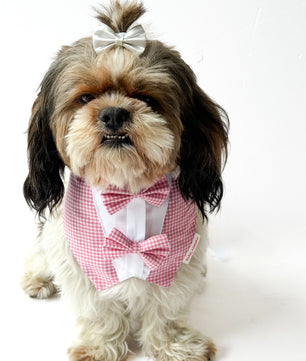 Pawgy Pets Casual Check Bandana: Pink for Dogs & Cats