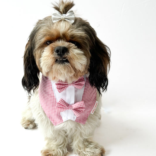 Pawgy Pets Casual Check Bandana: Pink for Dogs & Cats