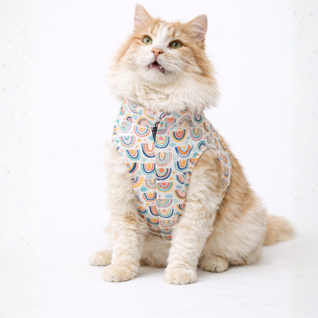 Pawgy Pets Rainbow Sando (Cat)