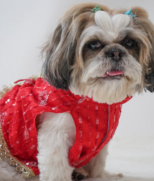 Pawgy Pets Red Net Lehenga for Dogs & Cats