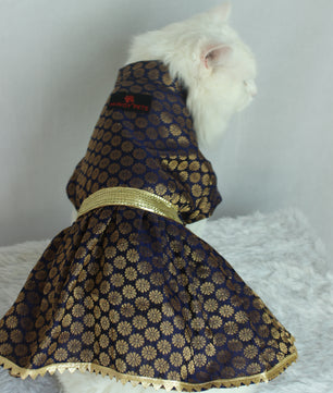Pawgy Pets Occasion wear Dress Navy Blue: Cat