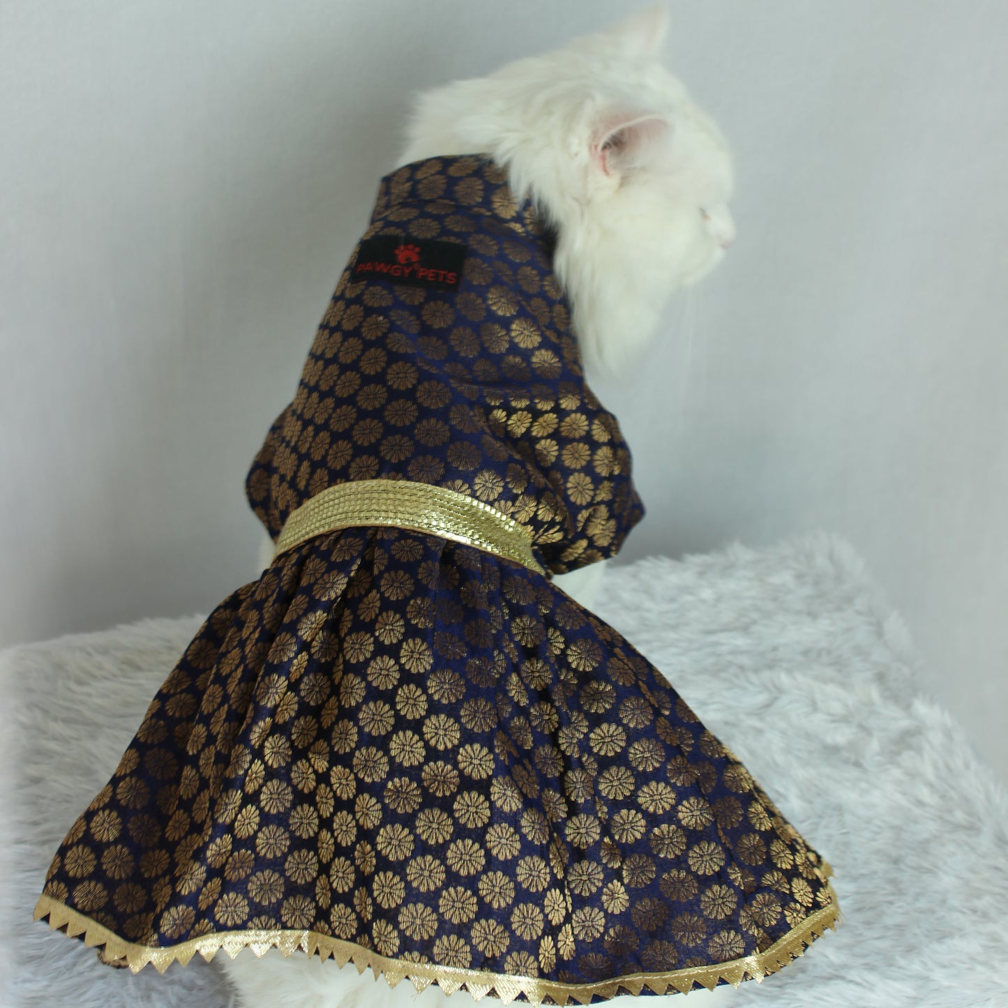 Navy Blue Occasion Wear Dress | For Cats | Pawgy Pets