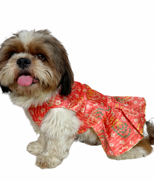 Pawgy Pets Silk Dress peach for Dogs