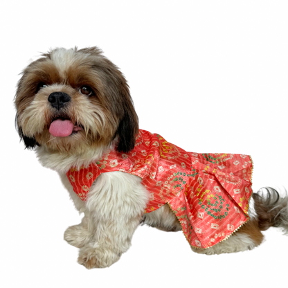 Pawgy Pets Silk Dress peach for Dogs