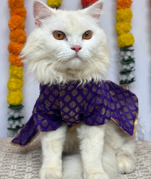 Pawgy Pets Occasion wear Dress Purple: Cat