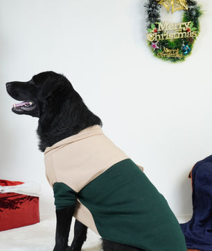 Pawgy Pets Hoodie Pet Sweatshirt - Olive green & Beige