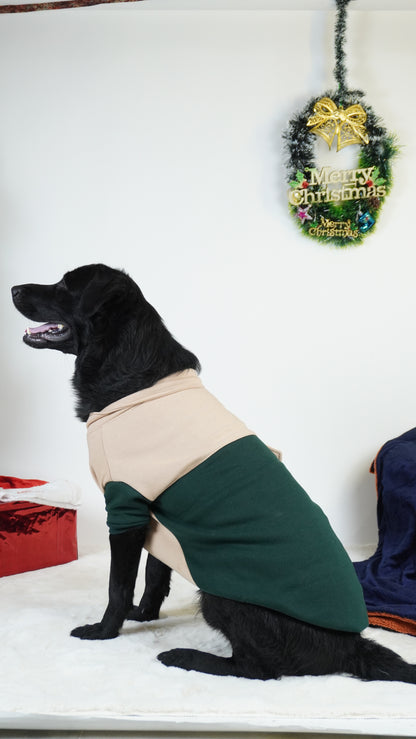 Olive Green & Beige Hoodie Sweatshirt | For Dogs & Cats | Pawgy Pets