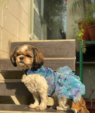 Pawgy Pets Frilly Dress Blue for Dogs