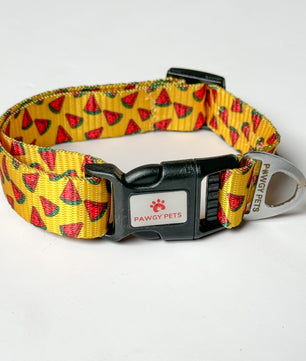 Pawgy Pets Collar Watermelon yellow for dogs and cats