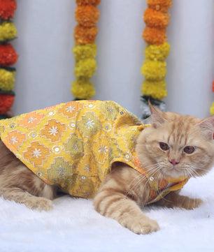 Pawgy Pets Festive Shirt Patola for Cats