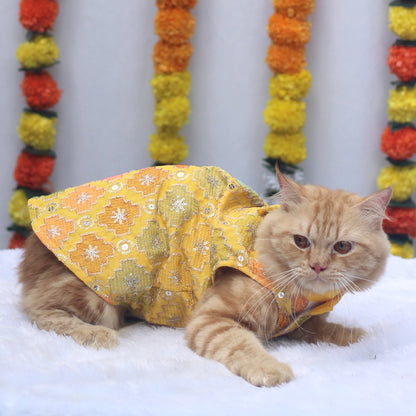 Patola Festive Shirt | For Cats | Pawgy Pets