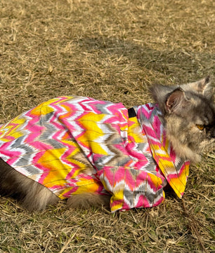 Pawgy Pets pink zig zag kurta for Cats