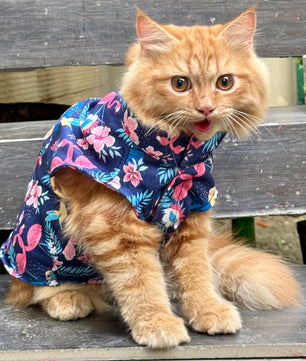 Pawgy Pets Flamingo Sando (Cat)