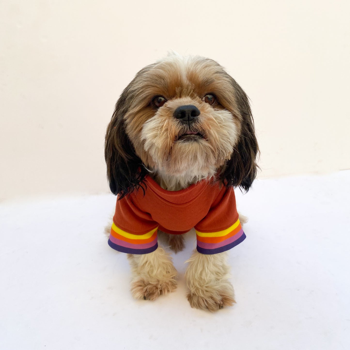 Pawgy Pets Smiley Rust Sweatshirt for Dogs & Cats