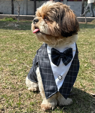 Luxe by Pawgy Pets Grey Check  Bowtie Tuxedo