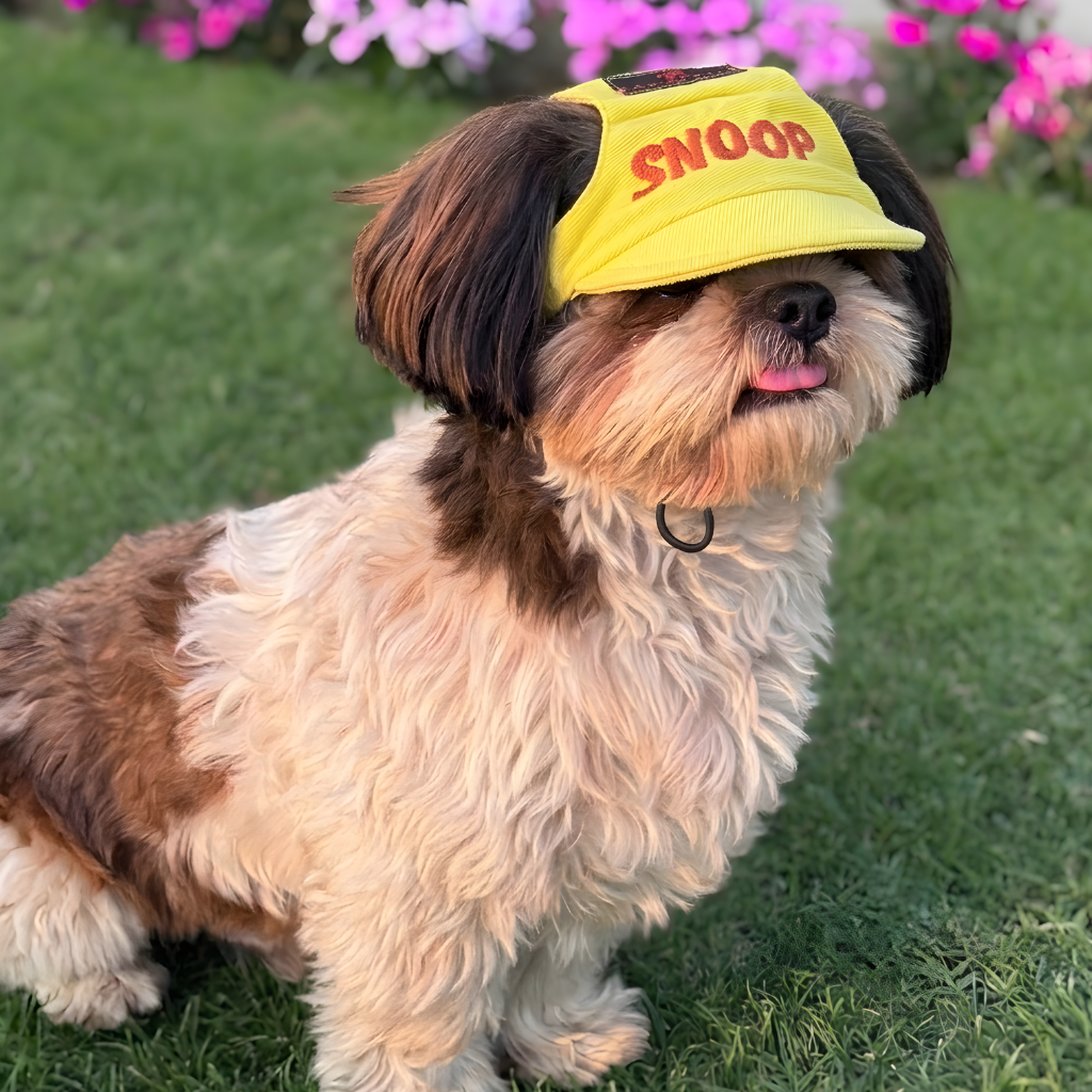 Yellow Cap | Personalised for Dogs | Pawgy Pets