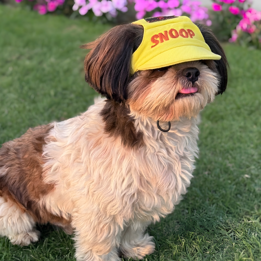 Pawgy Pets Personalised Dog Cap Yellow for Dog