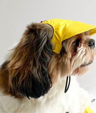 Pawgy Pets Waterproof Dog Cap: Yellow for Dog & Cats