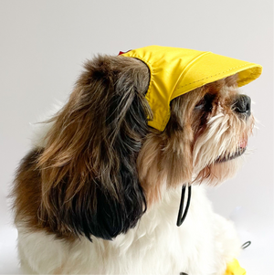 Yellow Waterproof Cap | For Dogs | Pawgy Pets