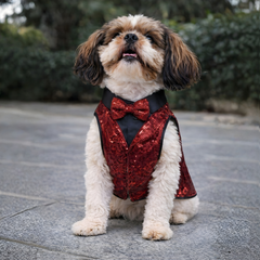 Luxe by Pawgy Pets Maroon Sequence Tuxedo