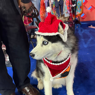 Pawgy Pets Christmas cap for Dogs