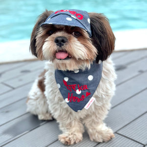 Polka Denim Cap and Bandana Set | Personalised for Dogs | Pawgy Pets