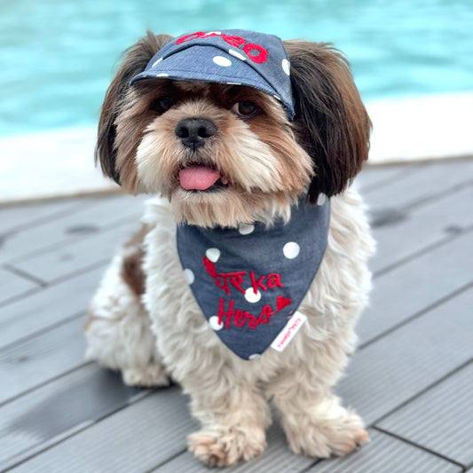 Pawgy Pets Personalised Dog Cap and Bandana: Denim Polka  for Dogs & Cats