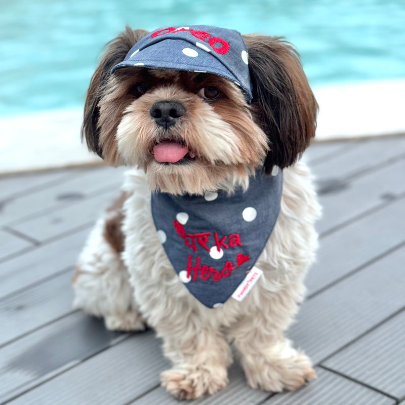 Polka Denim Cap and Bandana Set | Personalised for Dogs | Pawgy Pets