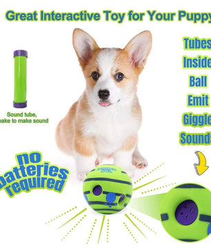 Pawgy Pets Sound Ball for Dogs