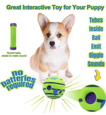 Pawgy Pets Sound Ball for Dogs