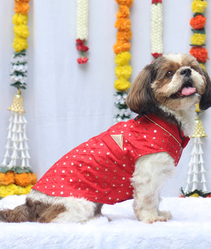 Pawgy Pets Red Shahi Kurta for Dogs