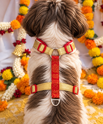 Pawgy Pets Celebration Harness & Leash for Dogs - Red and Gold