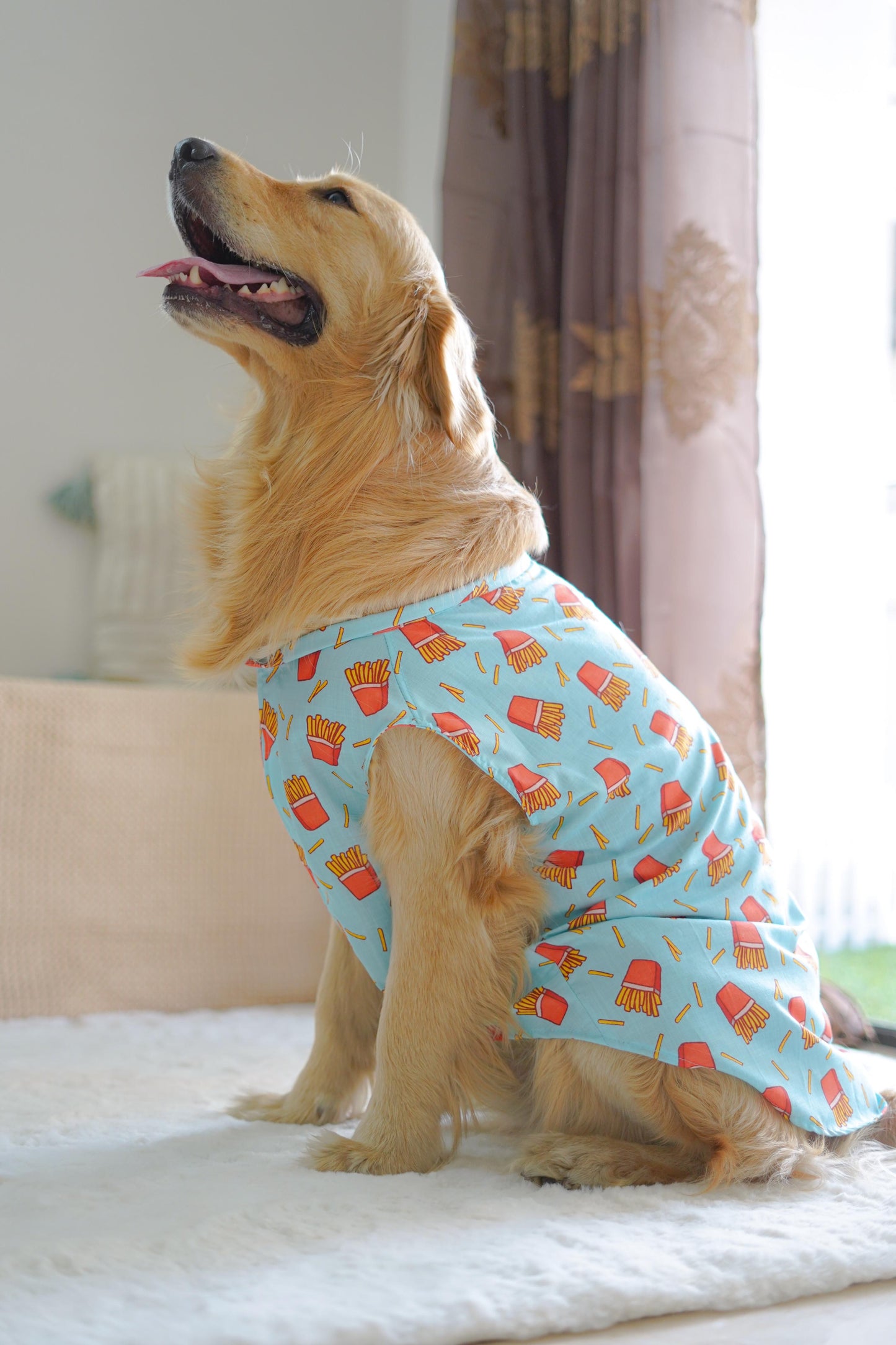 Fries Over Guys Sando | Blue | For Dogs | Pawgy Pets